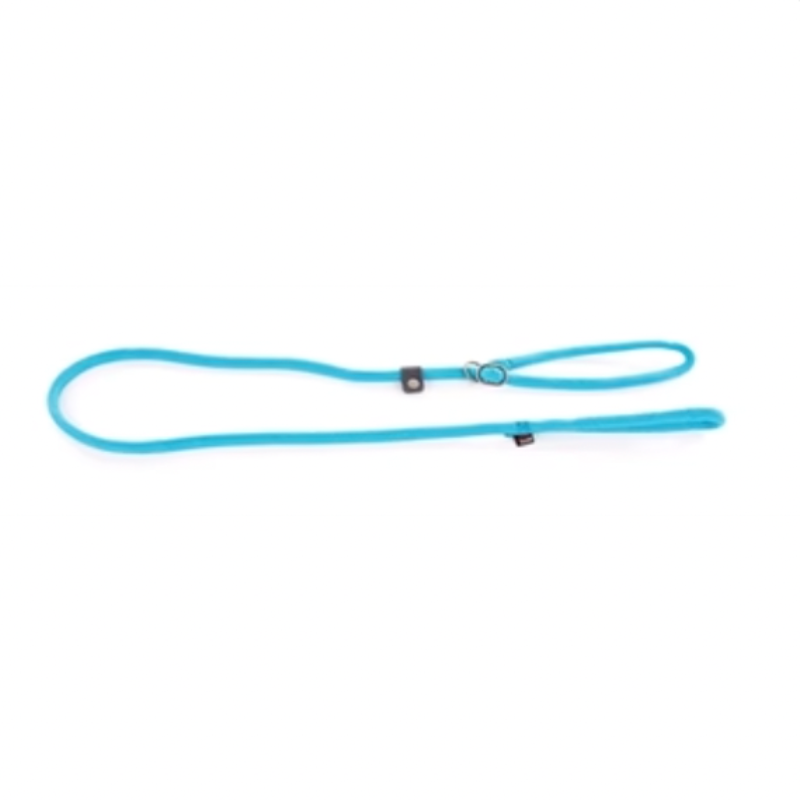Hundeleine mit Halsband Nylon Rund Türkis 180 CMX1,3CM